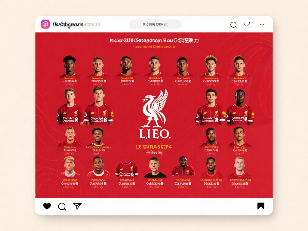 供了广阔的 供了广阔的