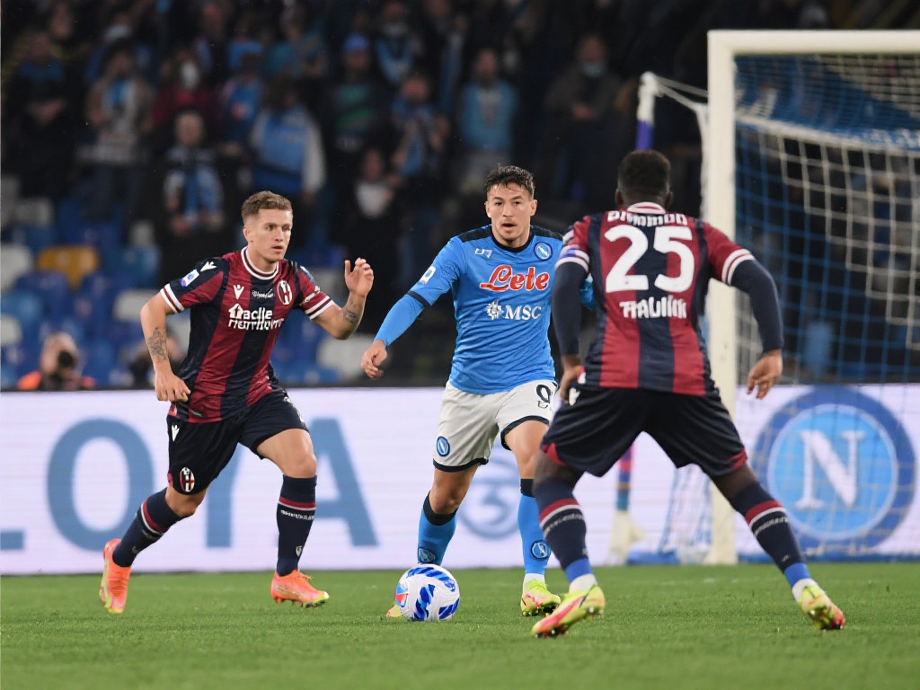 提供全面的 提供全面的